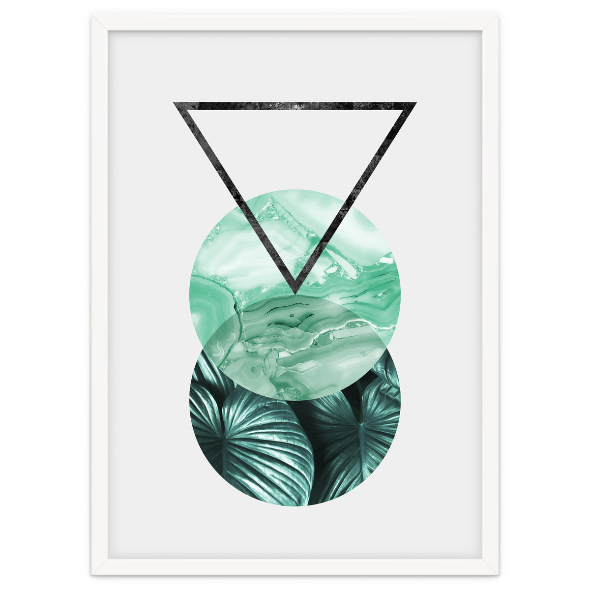 Botanical and geometric II