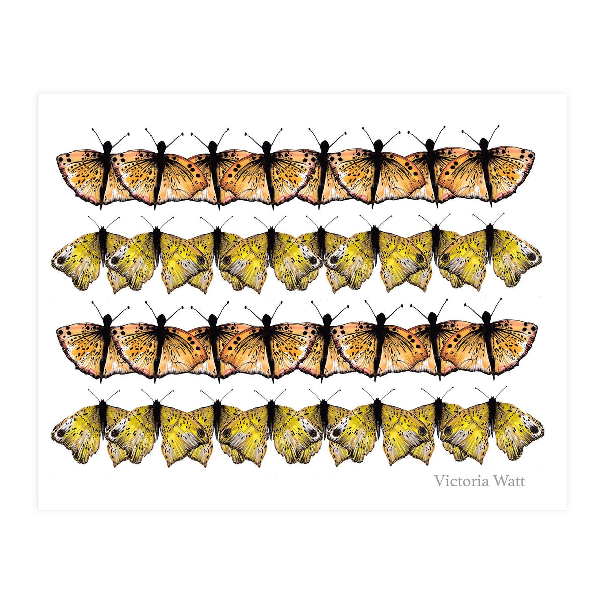 Butterfly Dance (Print Only)