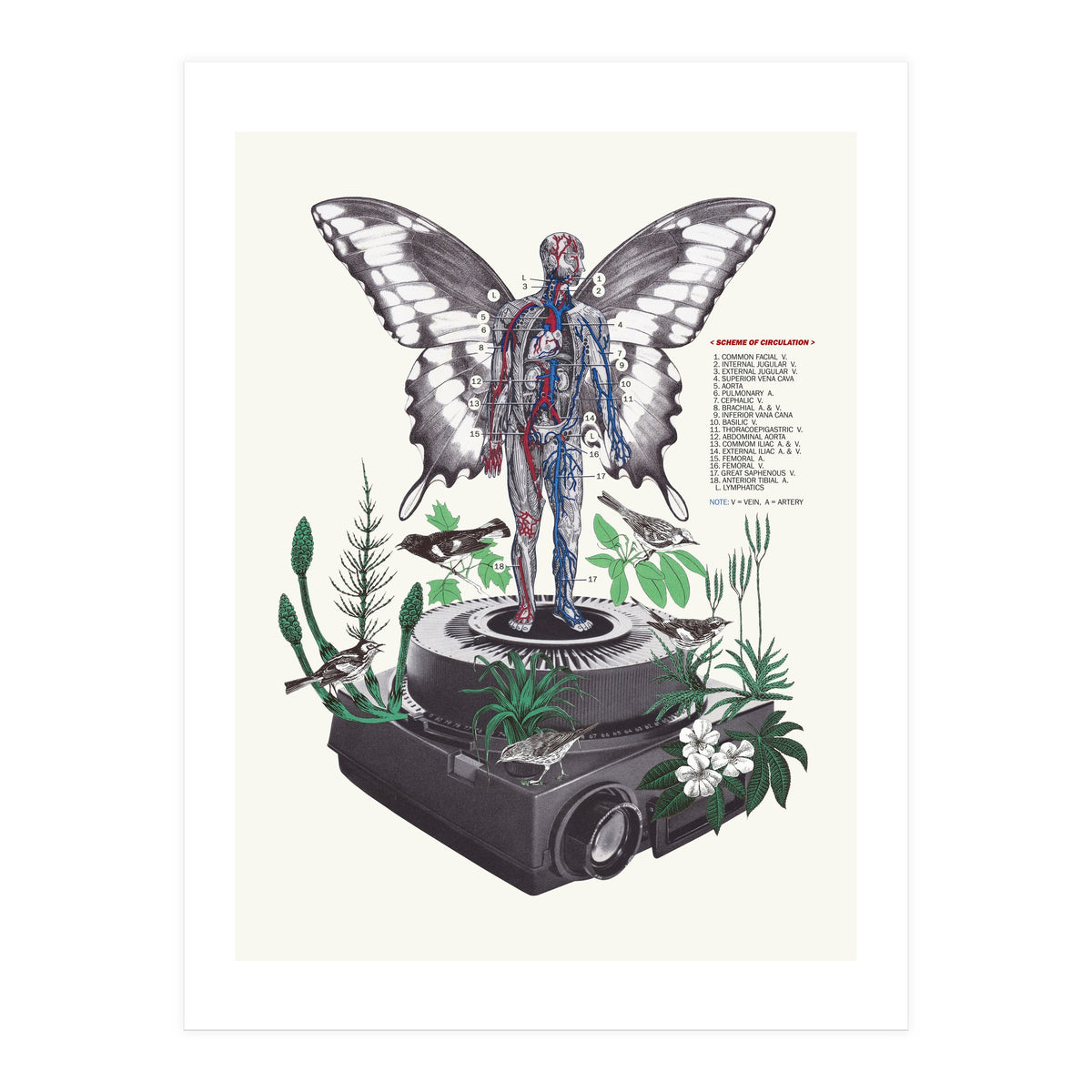 Hologram (Print Only)