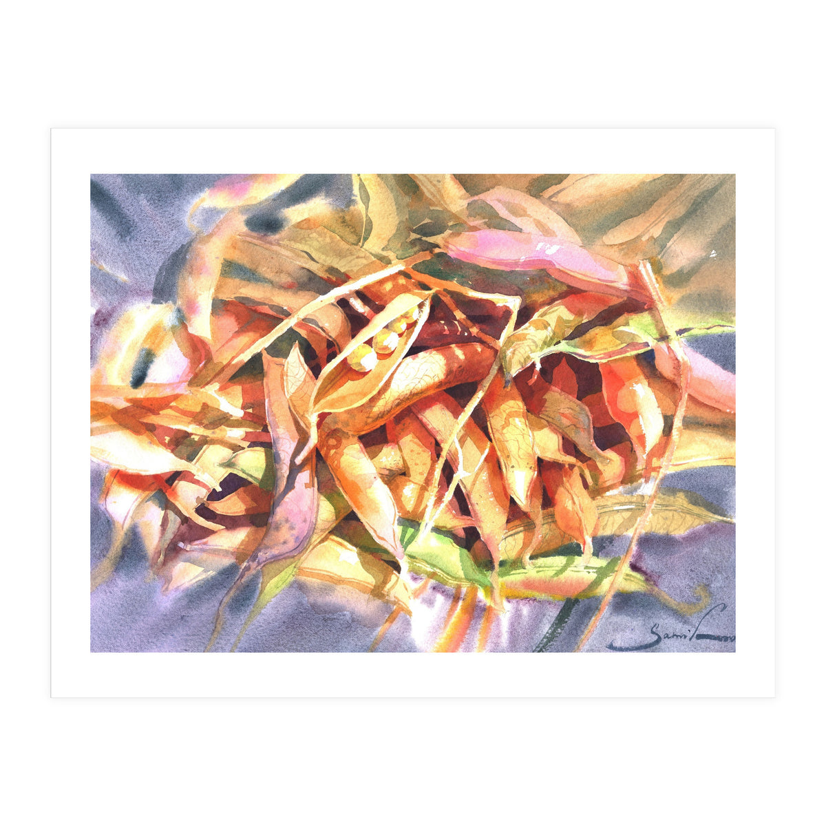 Bean Pods  (Print Only)