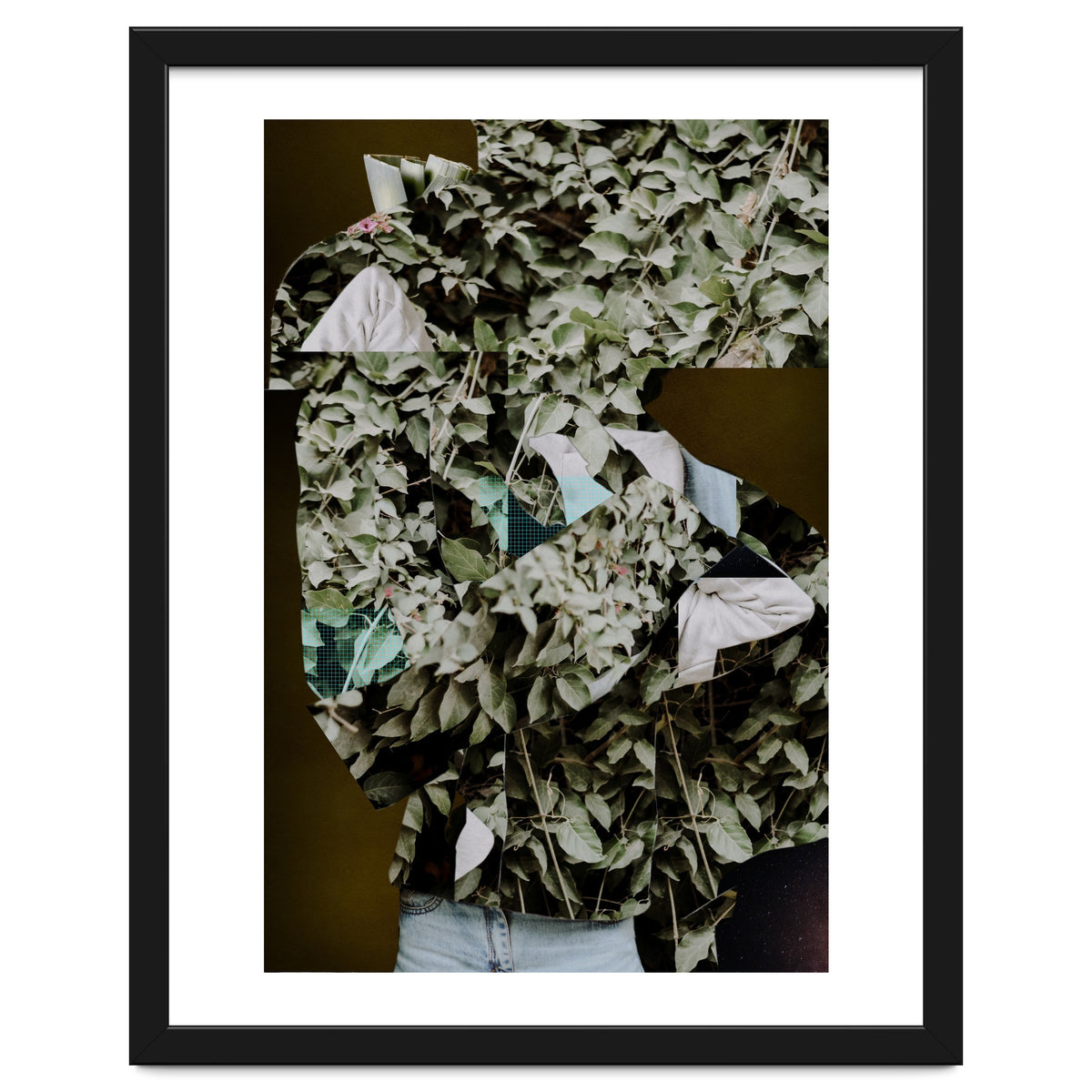 Disappeared Dreams 2