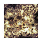 Demolition (Print Only) thumbnail