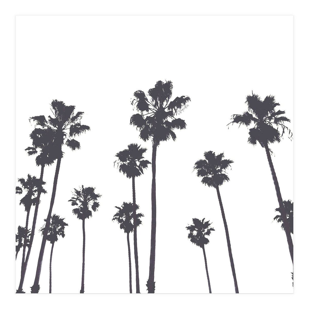 Palms & Sunset-Minimal B&W (Print Only)