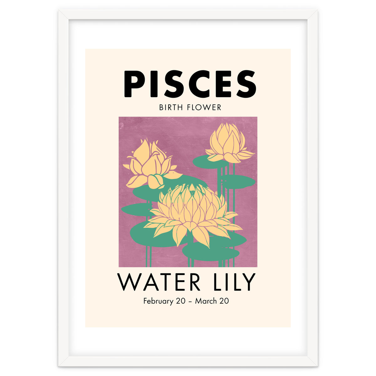 Pisces Birth Flower Water Lily