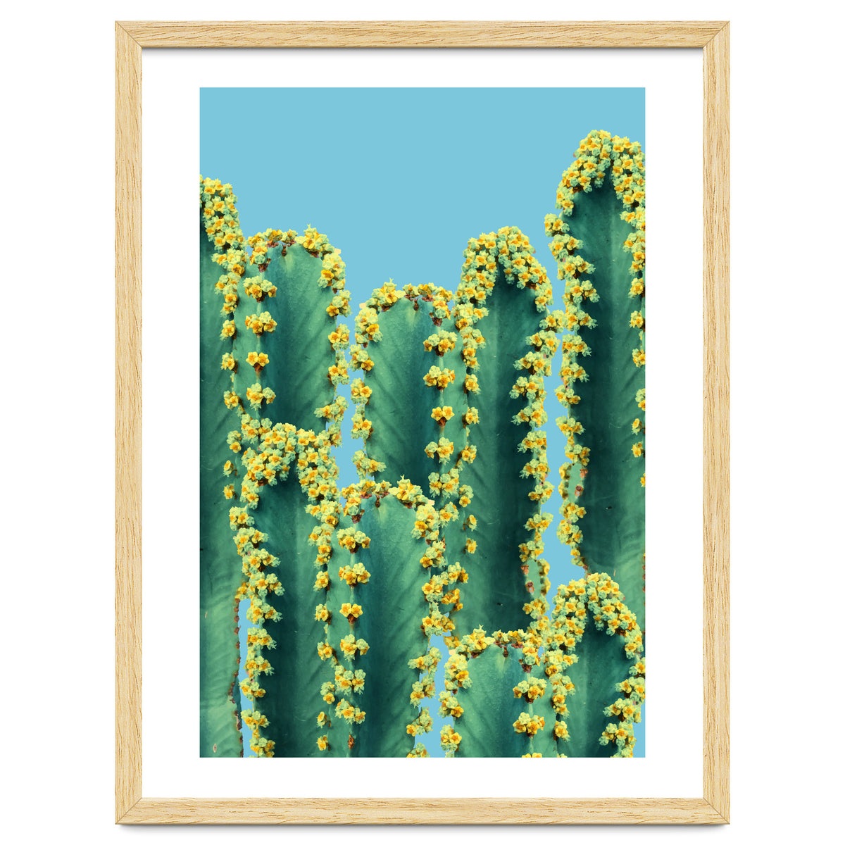 Adorned Cactus V2