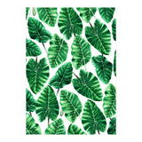 Taro (Print Only) thumbnail