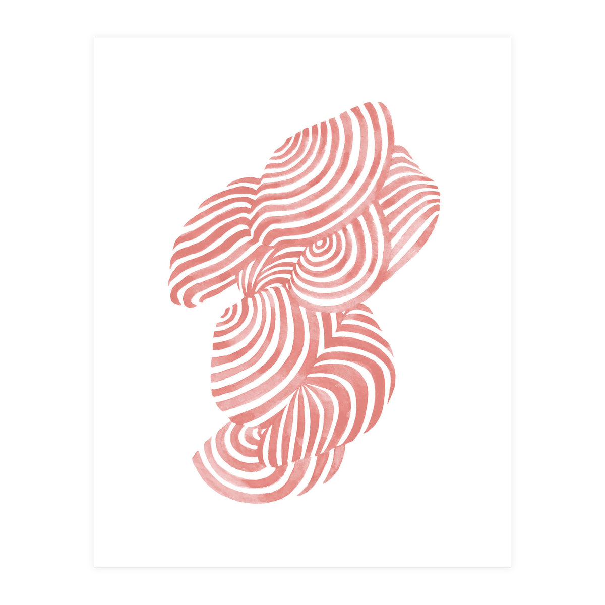 Seashells (Print Only)