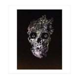 Metamorphosis  (Print Only) thumbnail