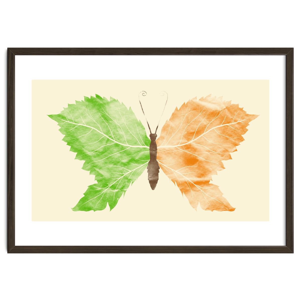 Seasons Change Time Flies