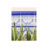 Moroccan Botany (Print Only)