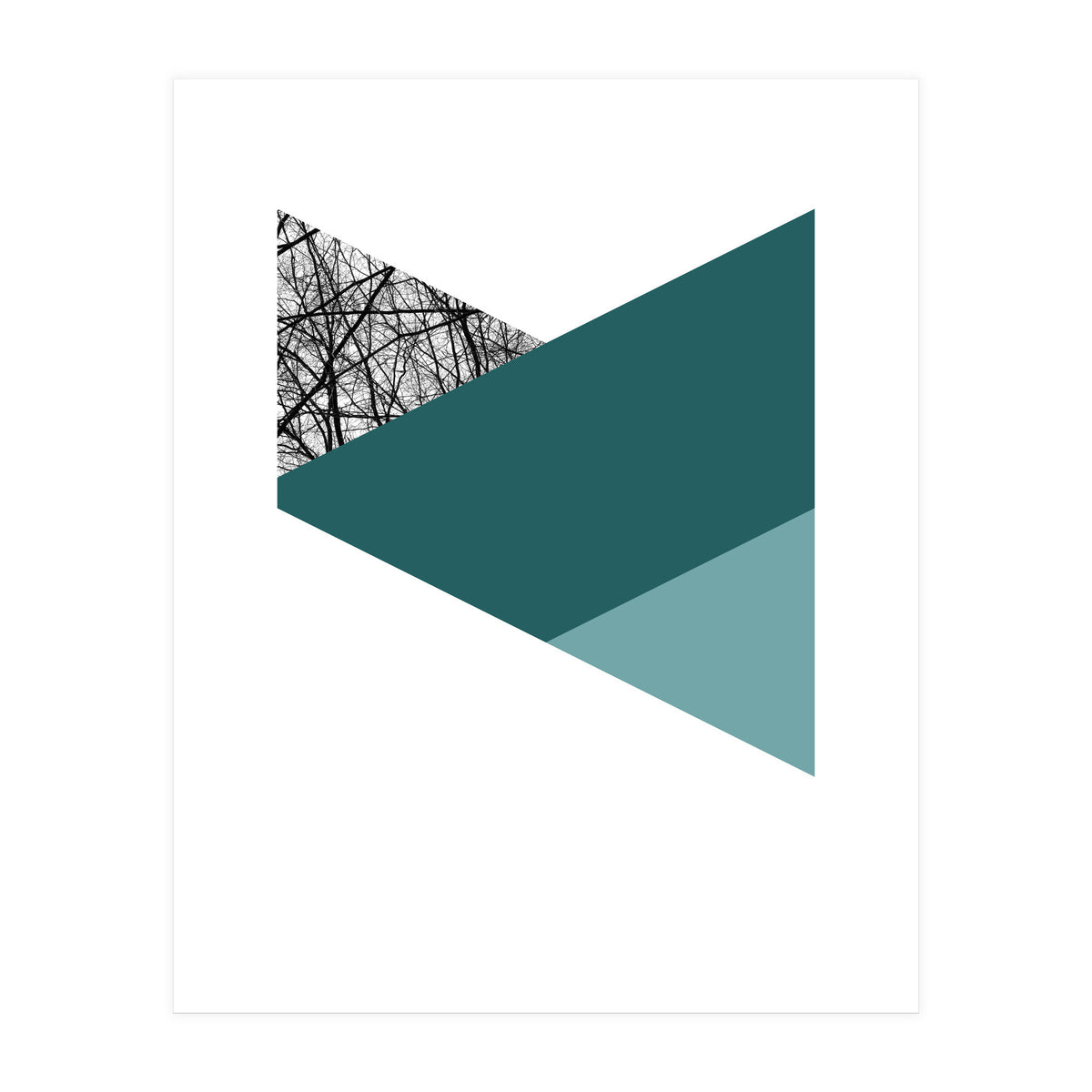 TRIWOOD I (Print Only)