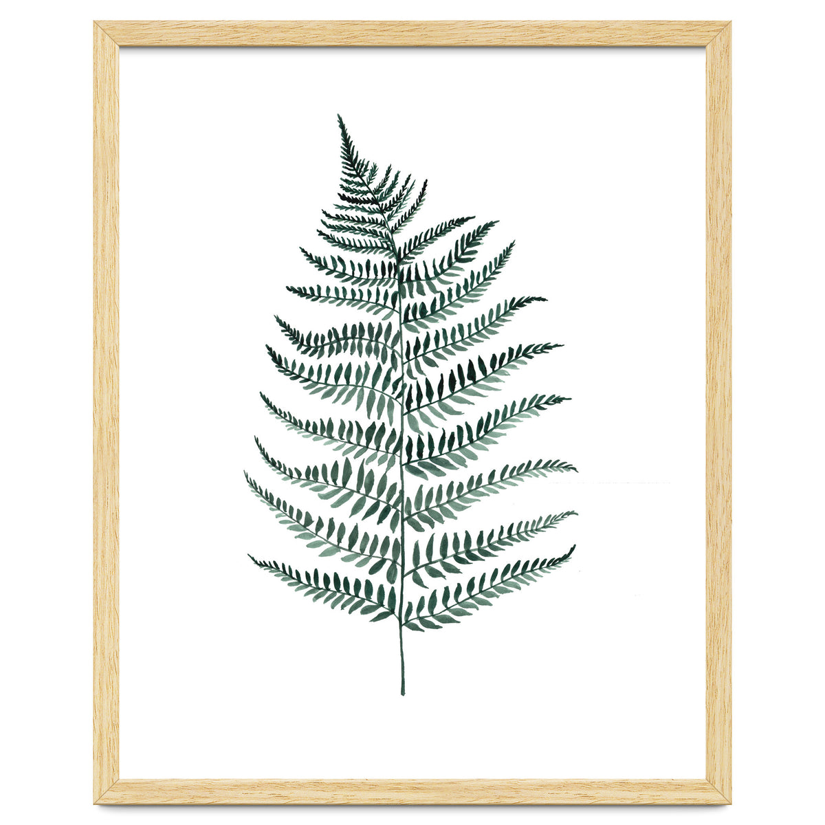Botanical Illustration Silverfern