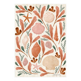 Shells Collection (Print Only) thumbnail