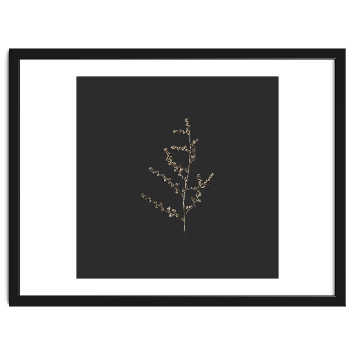 Dainty Botanicals in Gold and Black - Square