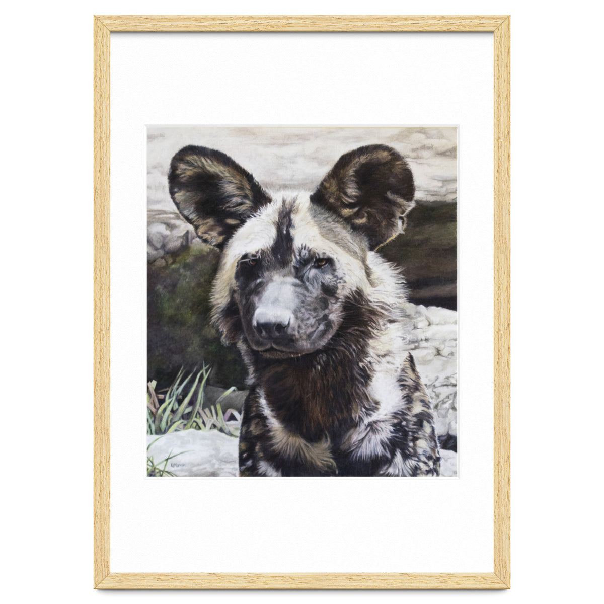 African Painted Dog II