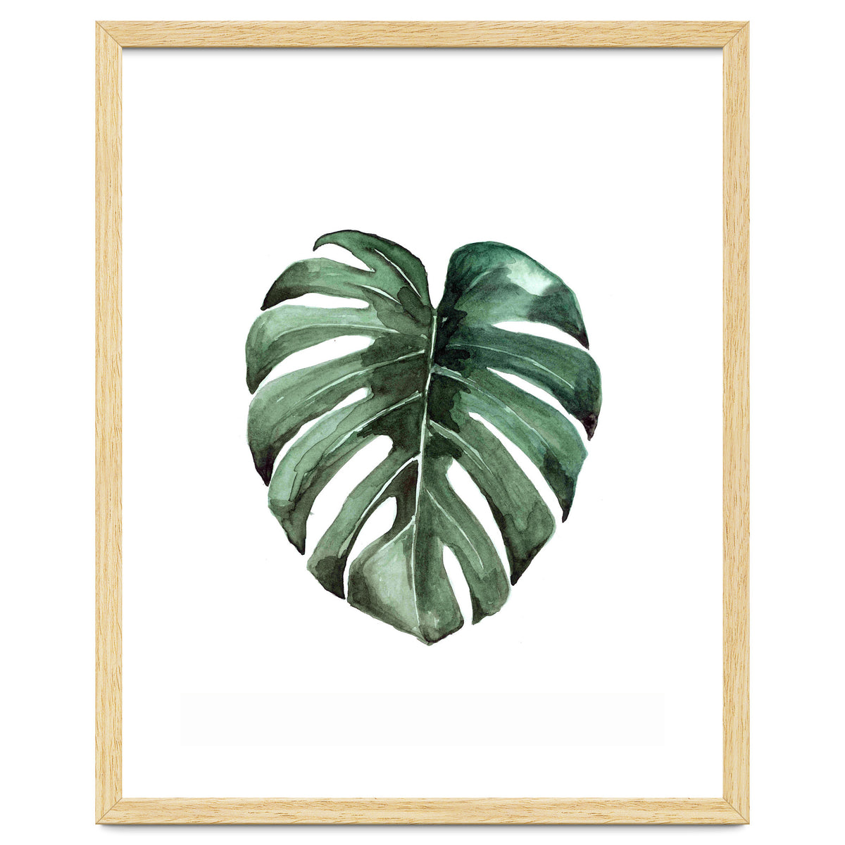 Botanical Illustration Monstera Deliciosa