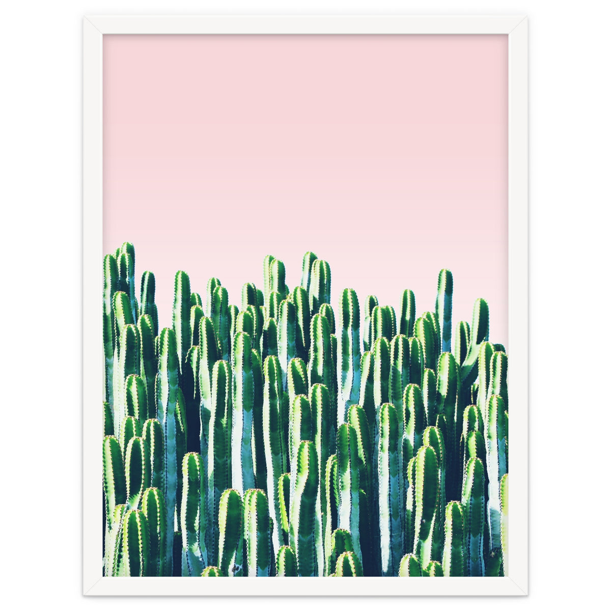 Cactus & Sunset I