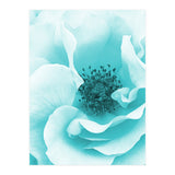 Blue Rose (Print Only) thumbnail