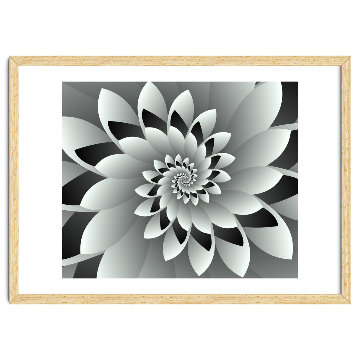 Black & White Floral