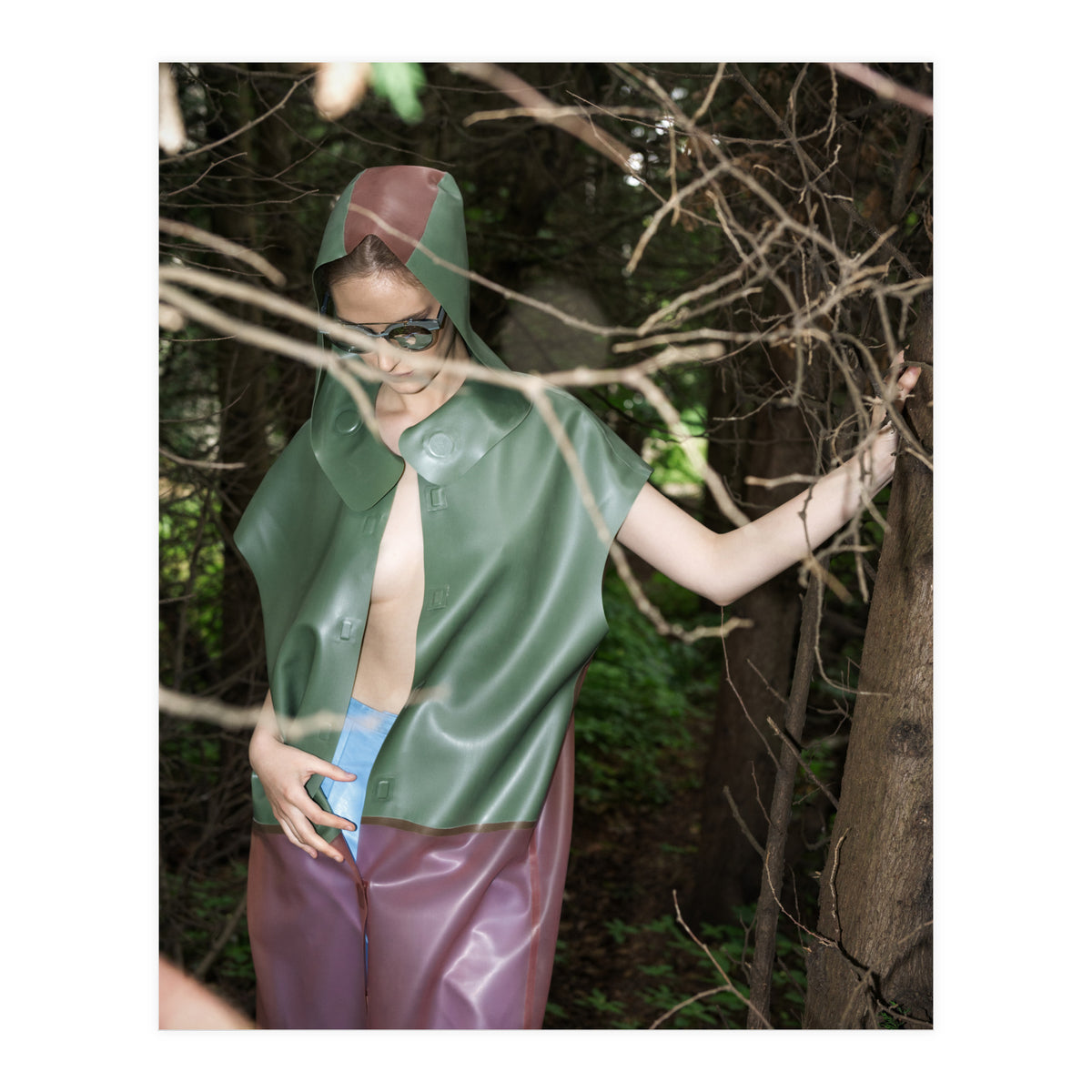 Camouflaged Animals (Print Only)