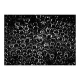 Bubbles (Print Only) thumbnail