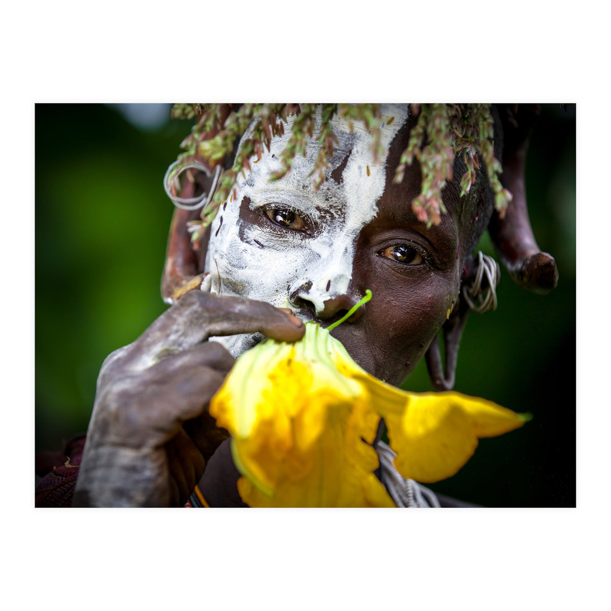 Sure flower (Print Only)