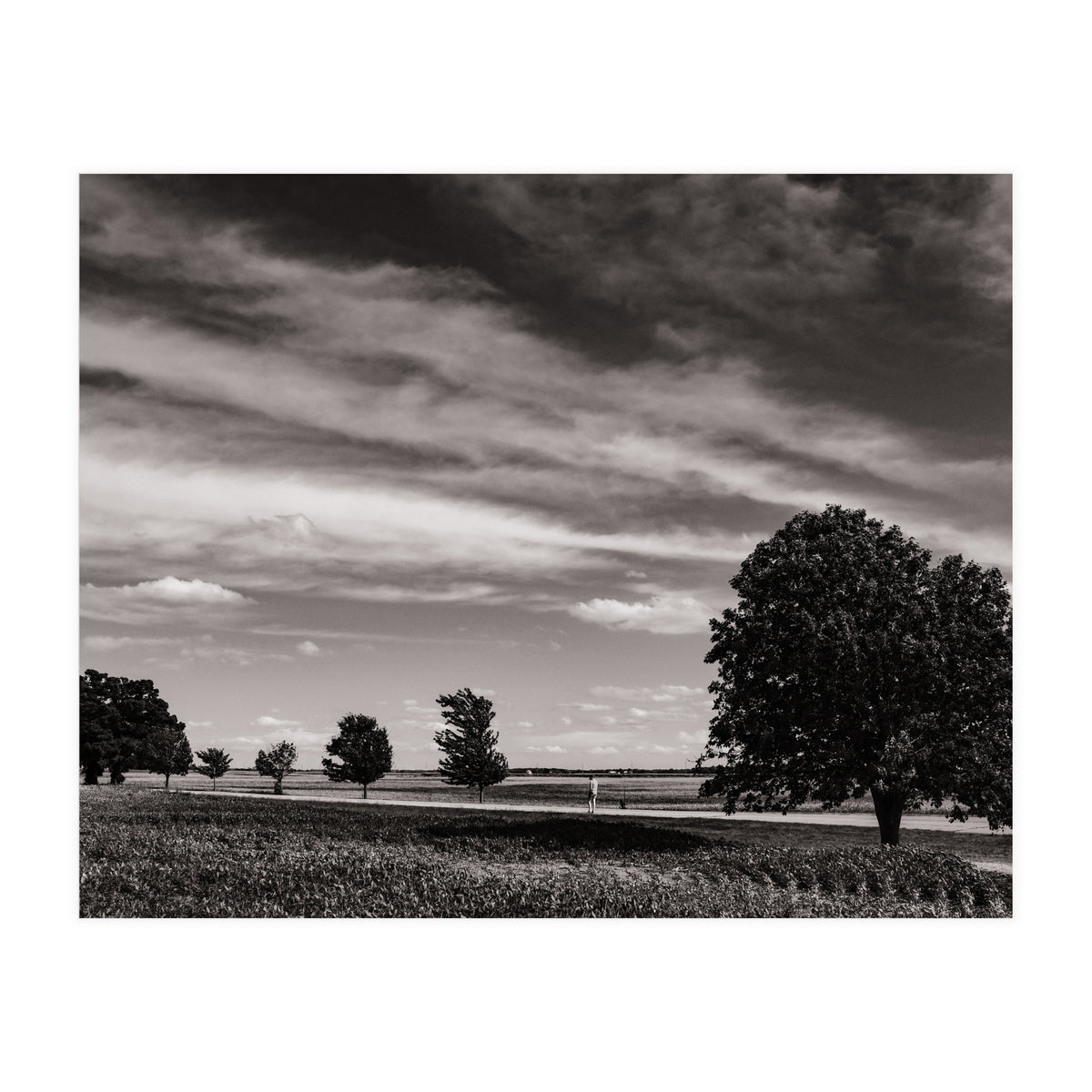 Country Road, Illinois  (Print Only)