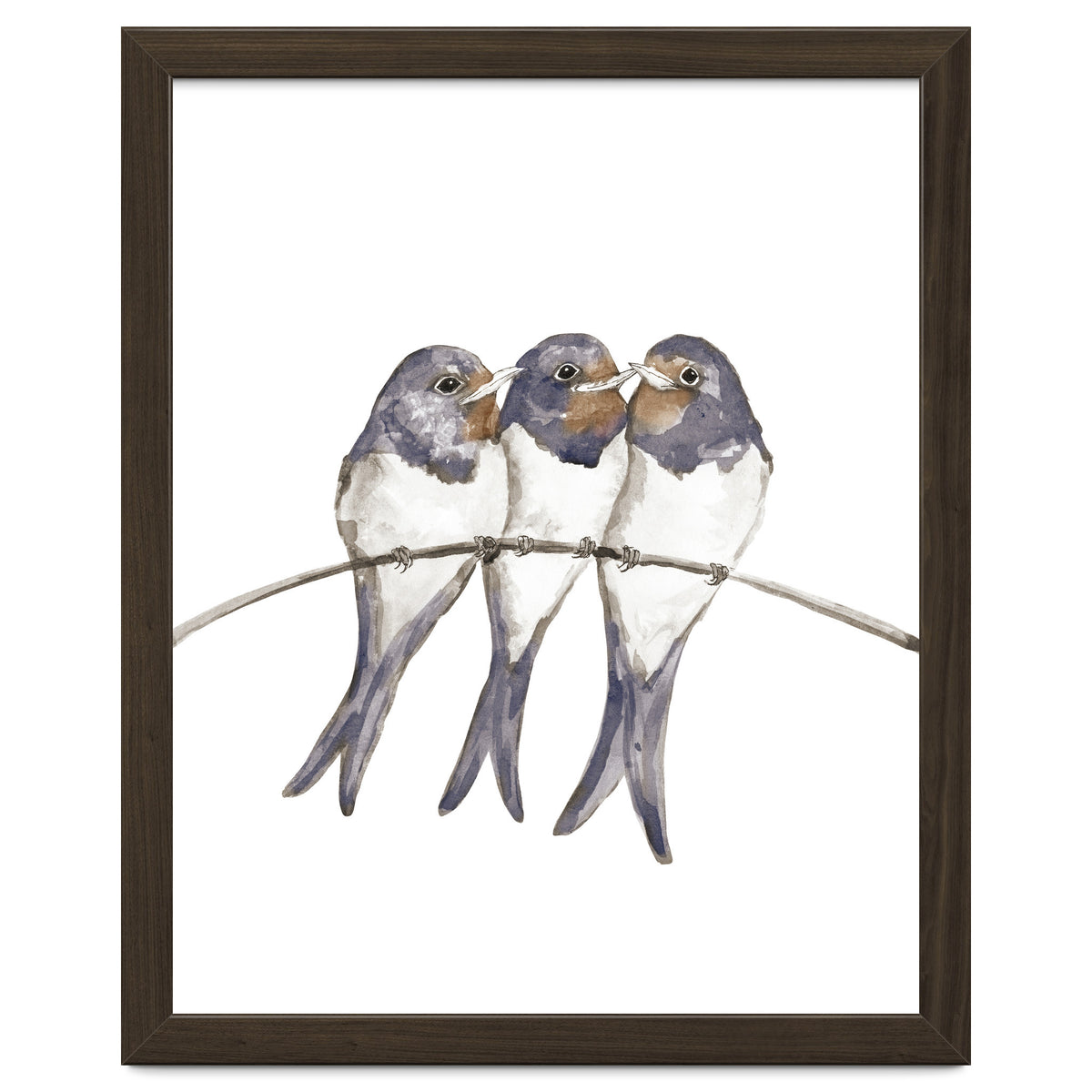 Three young swallows
