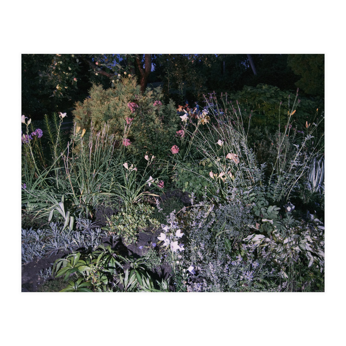 Picture Postcard Perfect (Print Only)