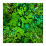Cage (Print Only) thumbnail