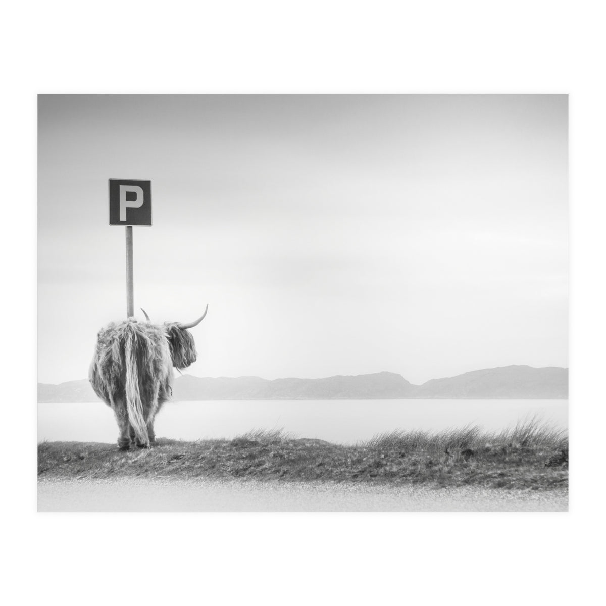 Highland Visitor (Print Only)