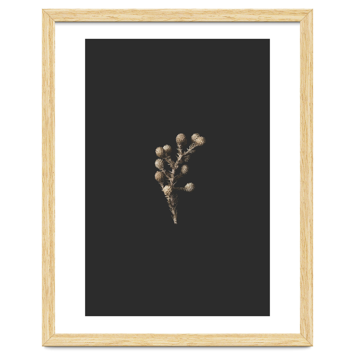 Gold Drops Botanicals