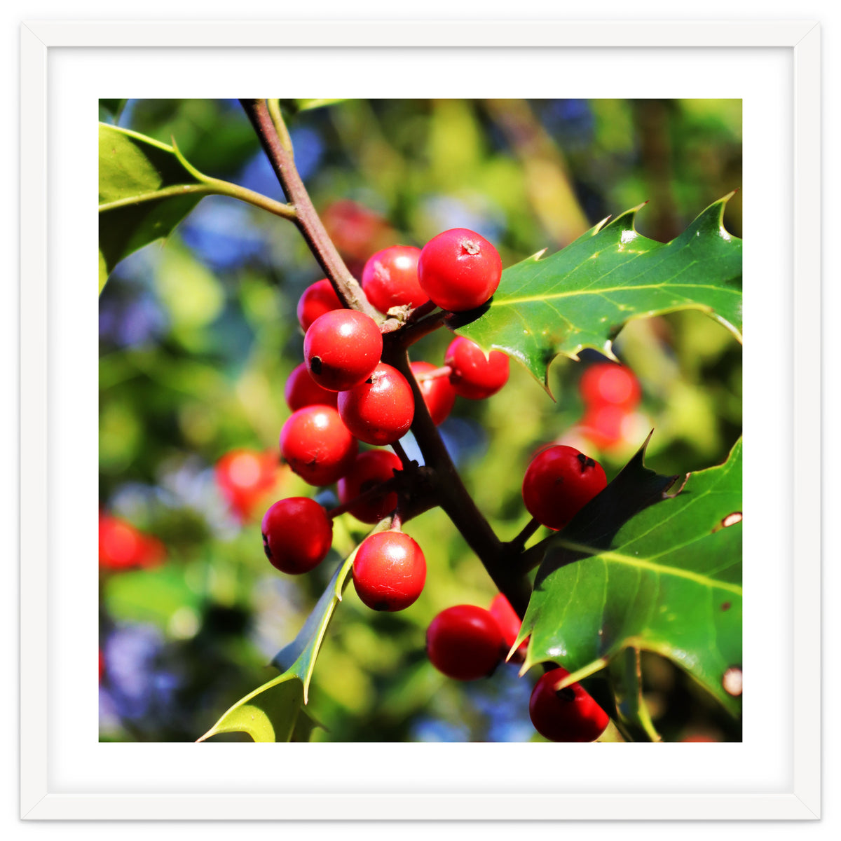 Fab454 Da 548 B 4252 8566 Cb9 Ccef07 Bda