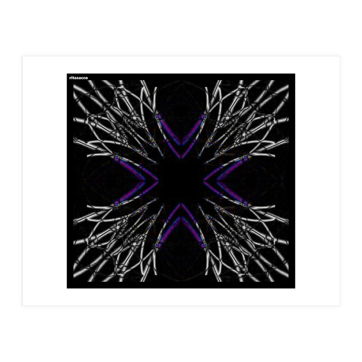 fiori.6.2png (Print Only)