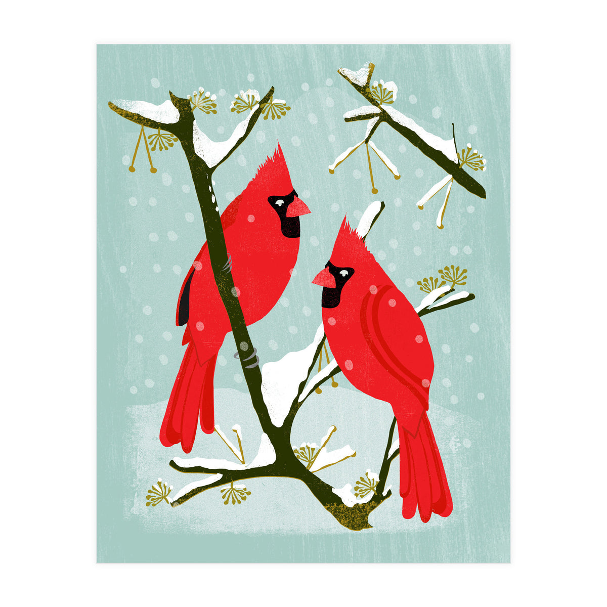 Cardinal (Print Only)