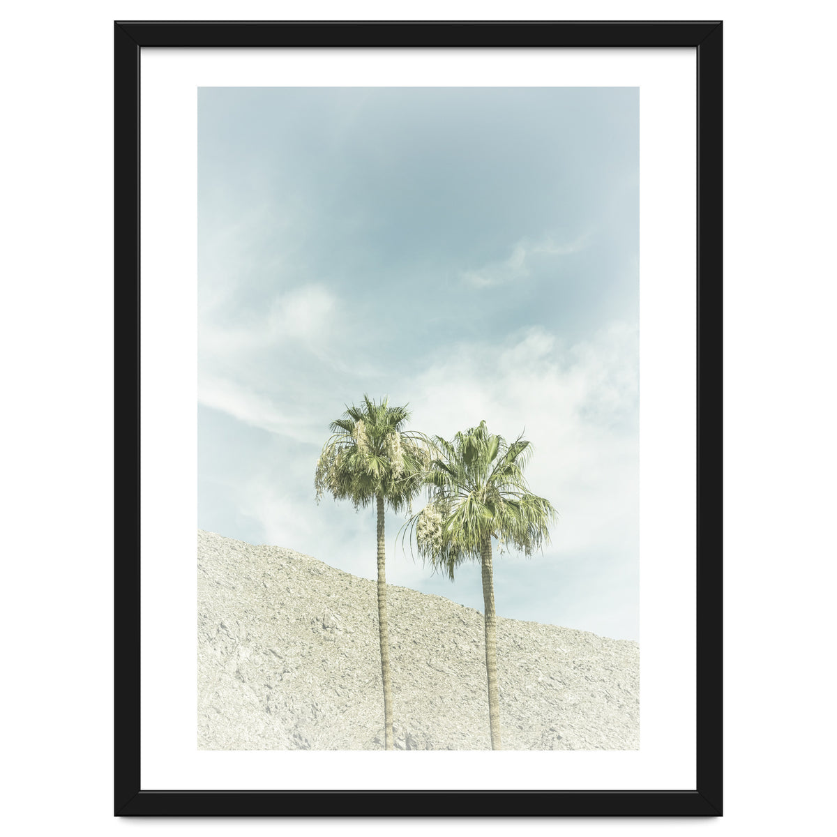 Palm Trees in the desert | Vintage