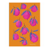 Pink Citrus (Print Only) thumbnail
