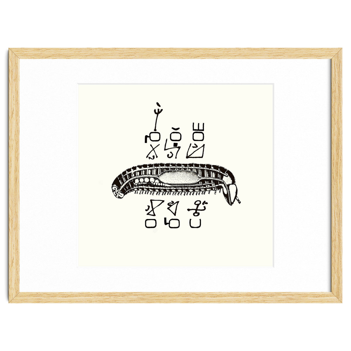 Diplopod David Felix