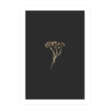 Gold Burst Botanicals (Print Only) thumbnail