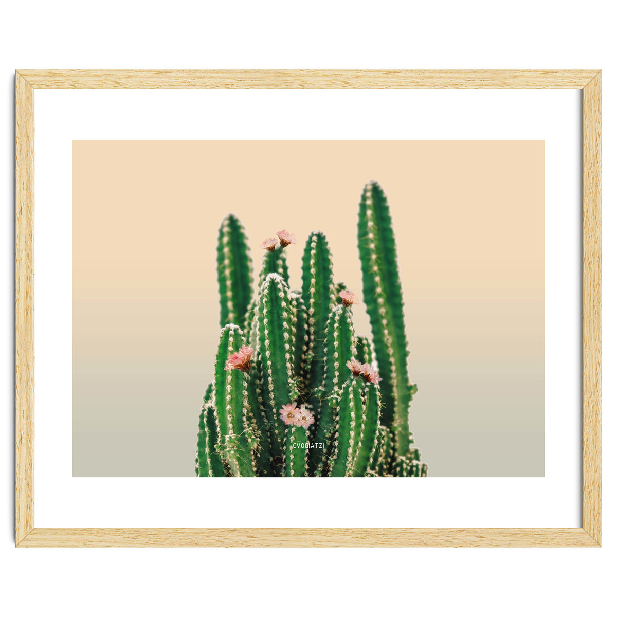 Flowered Cactus