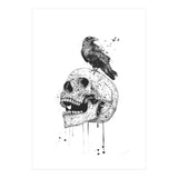 New Skull (bw) (Print Only) thumbnail