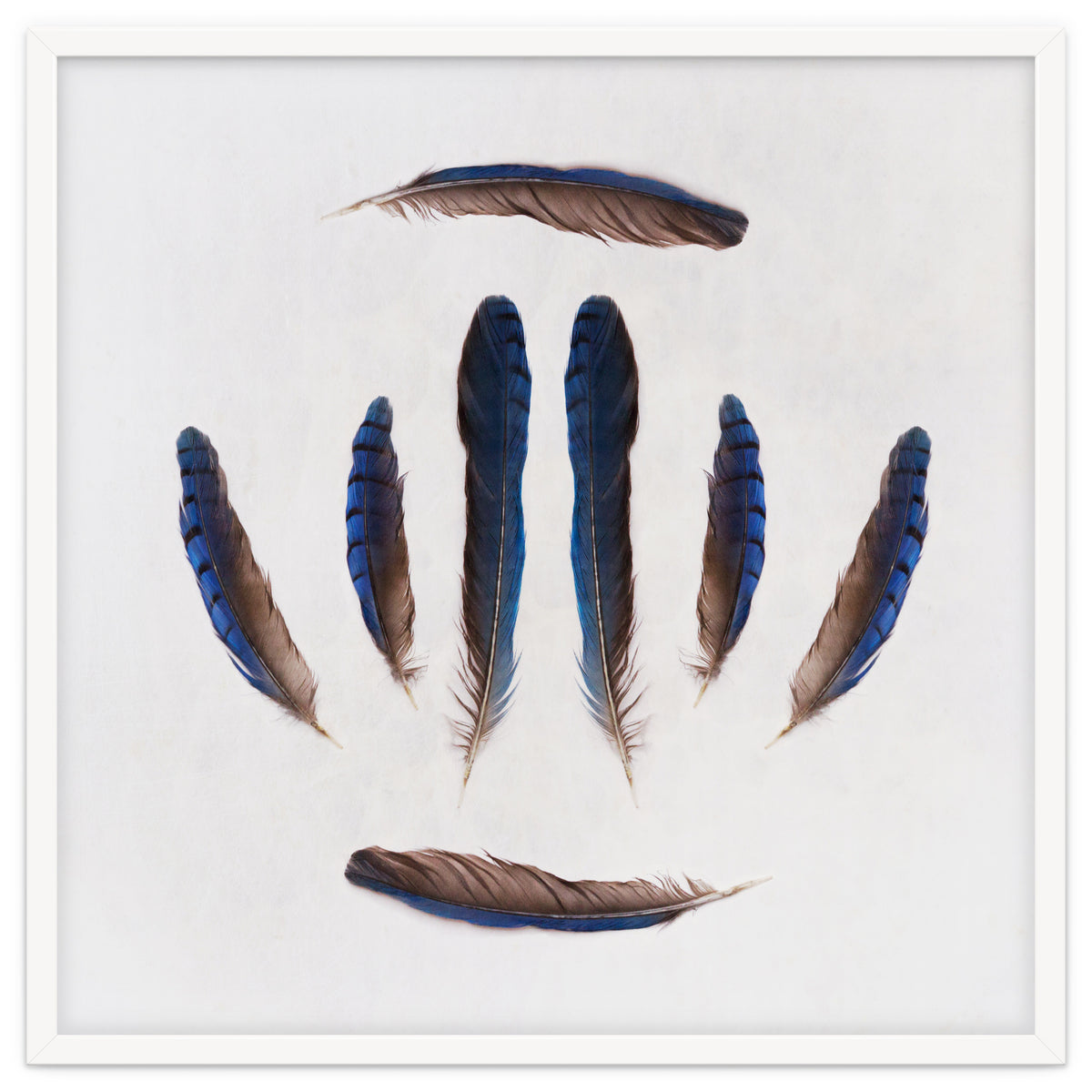 Forgive Me For Forgetting