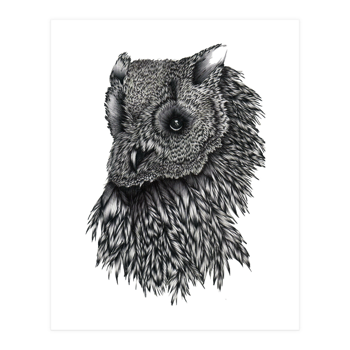 Forsythe (Print Only)