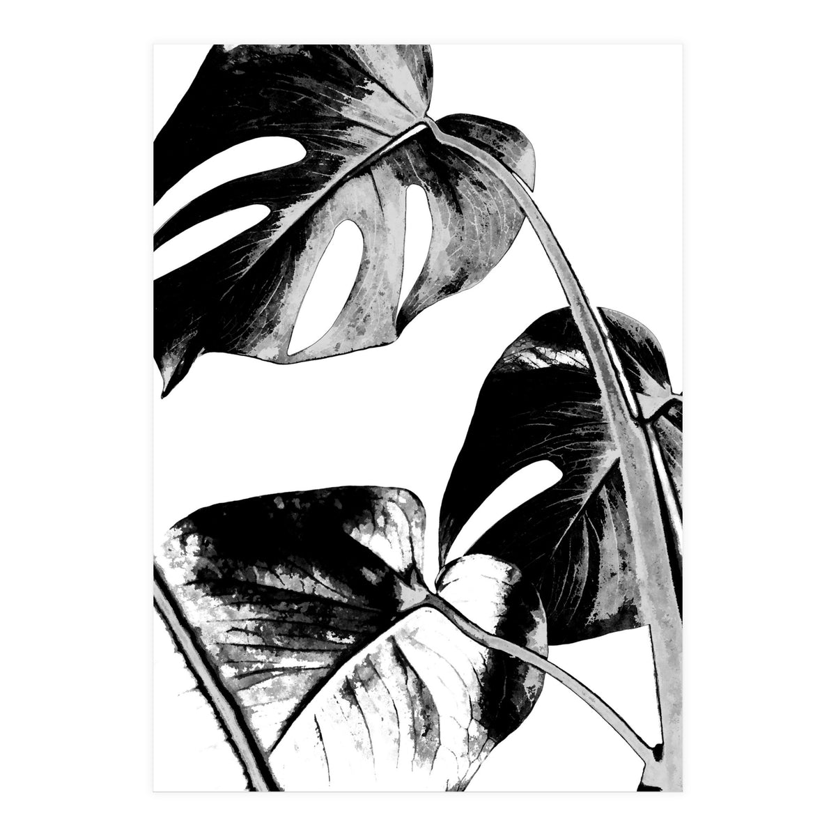 Black Tropical Leaves  (Print Only)