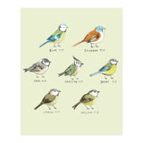 The Tit Family (Print Only) thumbnail