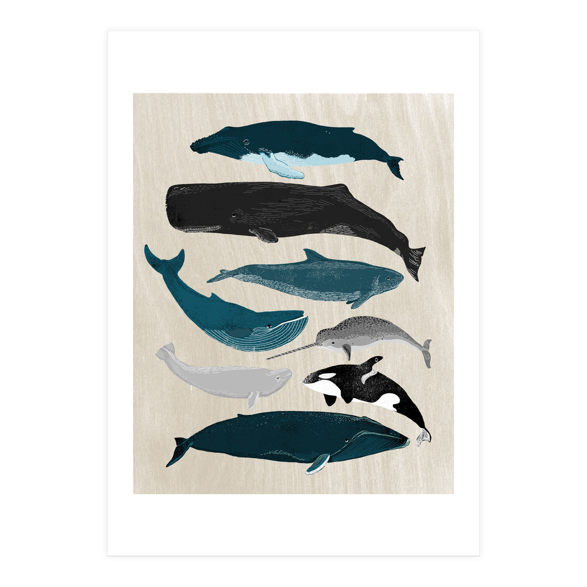 Whales (Print Only)