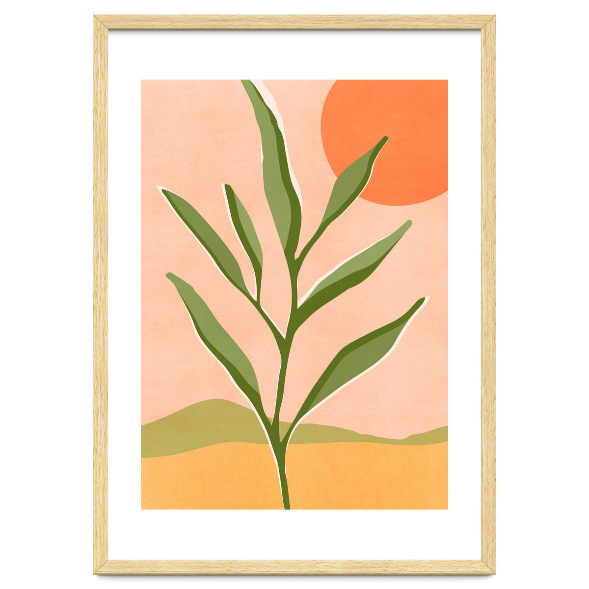 The Sun and The Succulent