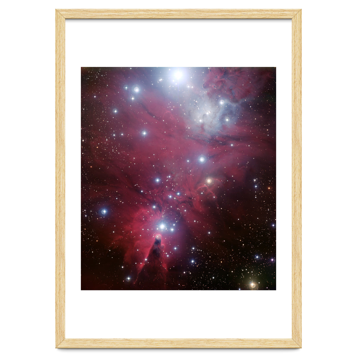 The Christmas Tree Cluster