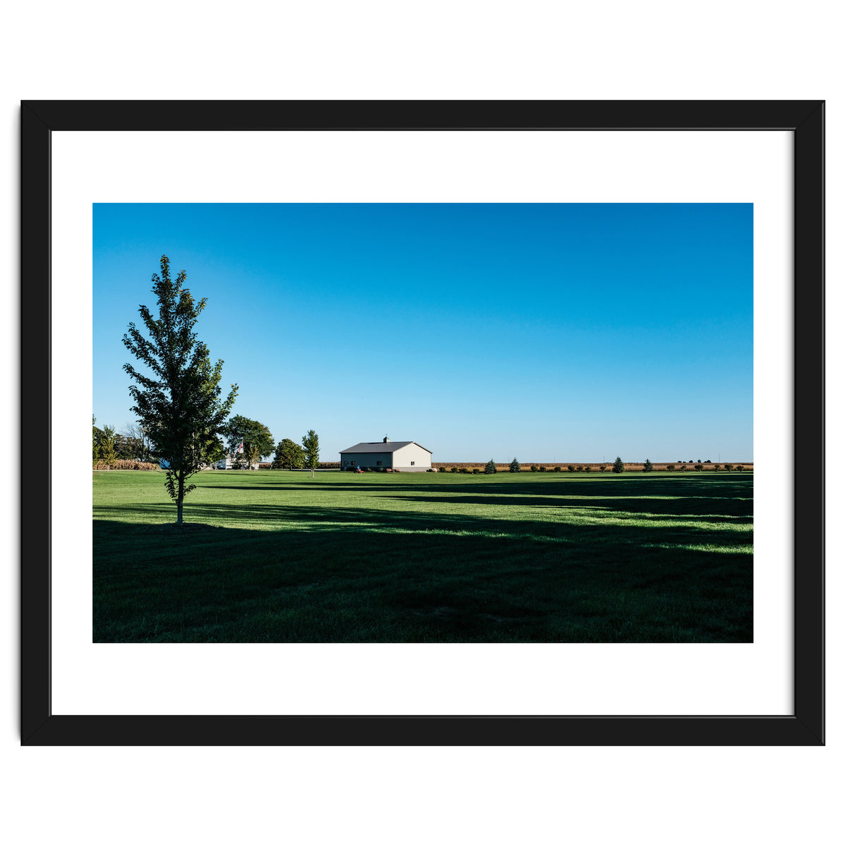 Summer evening, rural Illinois