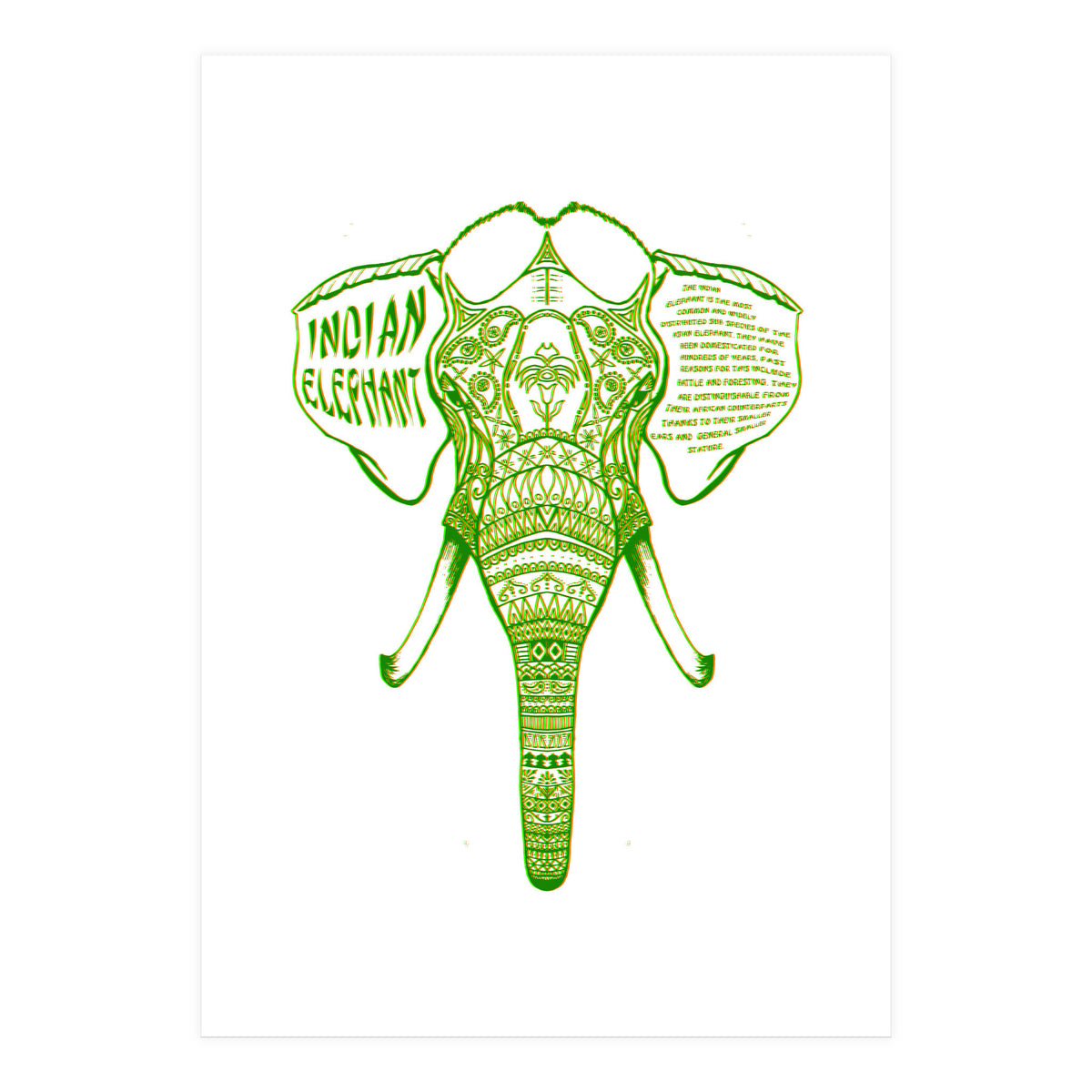 Indian Elephant (Print Only)